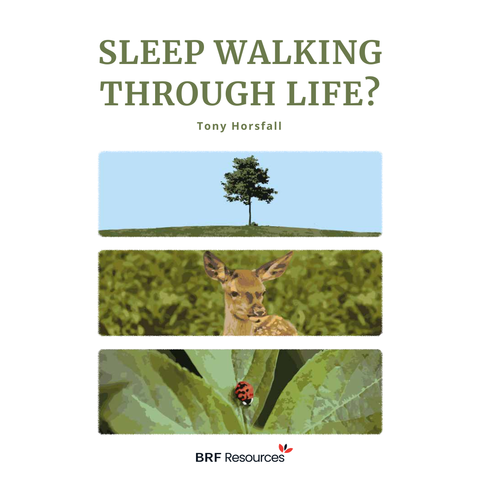 Sleep walking through life?