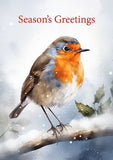 Robin in the Snow - Pack of Ten