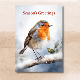 Robin in the Snow - Pack of Ten