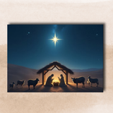 The Manger - Pack of Ten