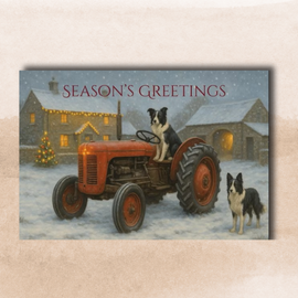 Christmas on the Farm - Pack of Ten