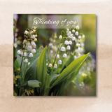 Everyday Card - Thinking of You Lilies (Pack of 6, 3 of each design)