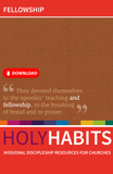 Holy Habits: Fellowship: Missional discipleship resources for churches
