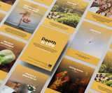 Death and Life: Reflection Cards