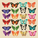 Everyday cards - Pack 1 (Pack of 6 cards, 3 of each design)