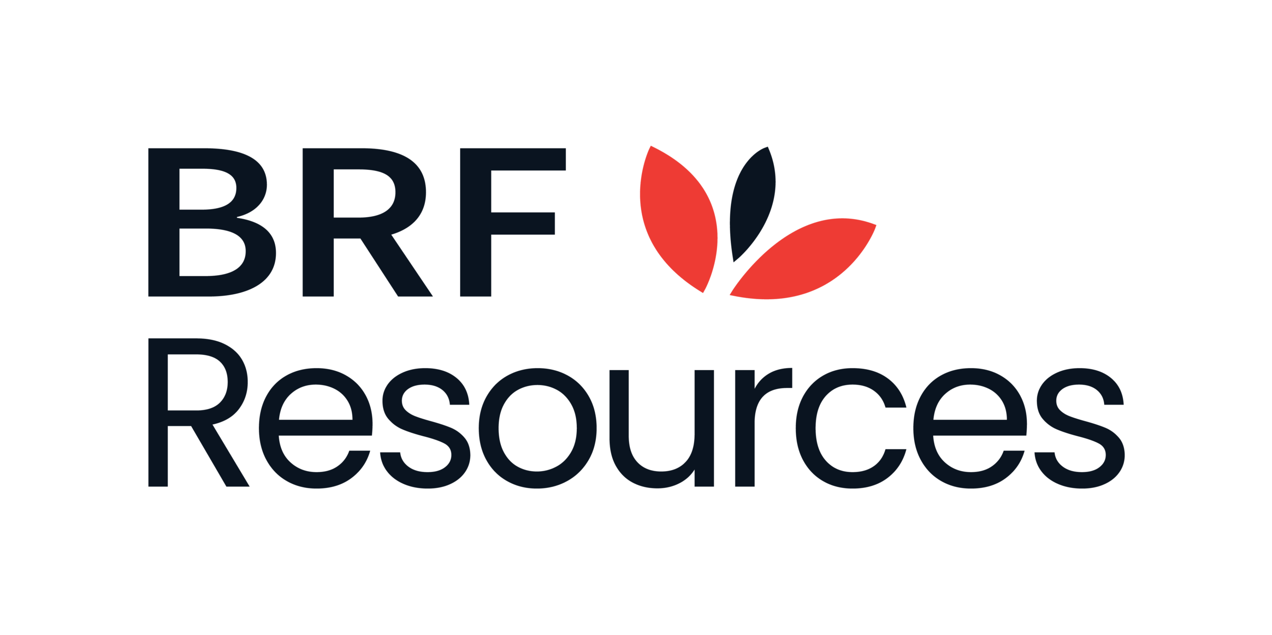 BRF Resources
